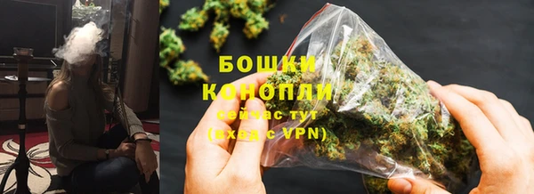 стафф Дмитриев