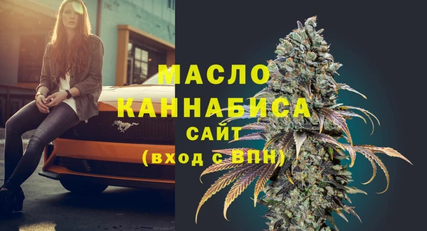 мяу мяу мука Гусь-Хрустальный